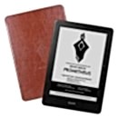 Ремонт ONYX BOOX Prometheus